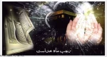 این الرجبیون 2