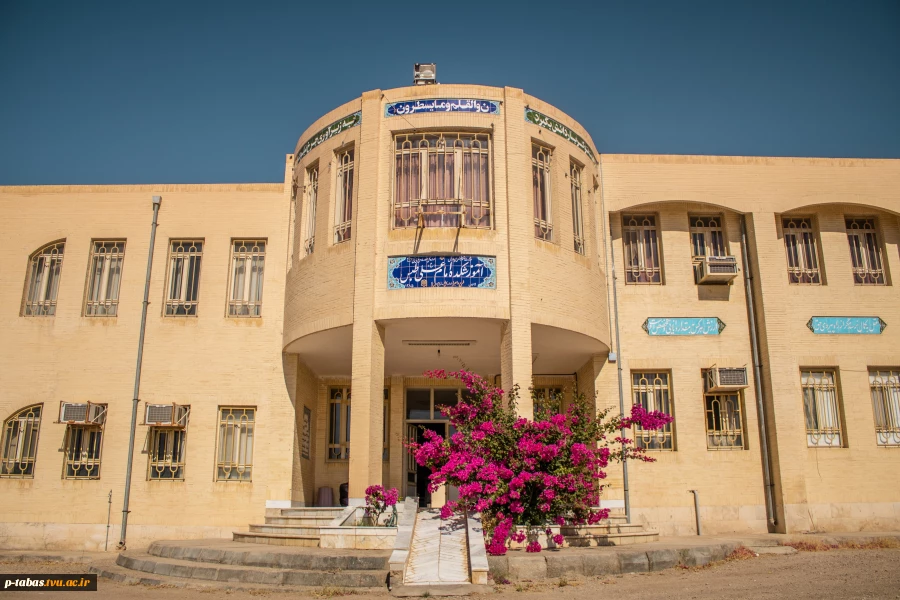 دانشکده فنی طبس 2