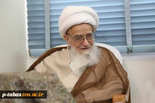 پیام تسلیت به مناسبت درگذشت مرجع عالیقدر آیت الله صافی گلپایگانی
