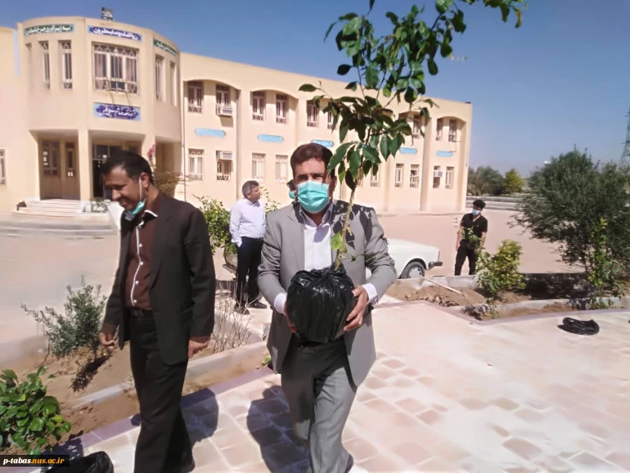 کاشت نهال  روز درختکاری توسط همکاران آموزشکده فنی و حرفه ای طبس در محل آموزشکده 2
