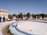 کاشت نهال  روز درختکاری توسط همکاران آموزشکده فنی و حرفه ای طبس در محل آموزشکده 3
