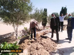 کاشت نهال  روز درختکاری توسط همکاران آموزشکده فنی و حرفه ای طبس در محل آموزشکده 5