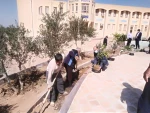 کاشت نهال  روز درختکاری توسط همکاران آموزشکده فنی و حرفه ای طبس در محل آموزشکده 7