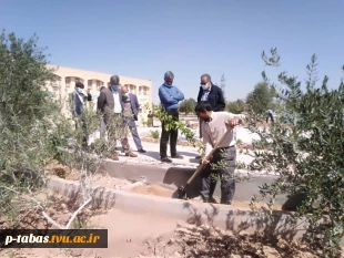 کاشت نهال  روز درختکاری توسط همکاران آموزشکده فنی و حرفه ای طبس در محل آموزشکده 8