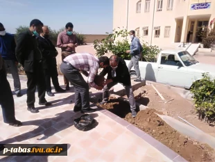 کاشت نهال  روز درختکاری توسط همکاران آموزشکده فنی و حرفه ای طبس در محل آموزشکده 11