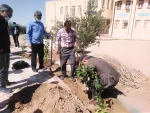 کاشت نهال  روز درختکاری توسط همکاران آموزشکده فنی و حرفه ای طبس در محل آموزشکده 12