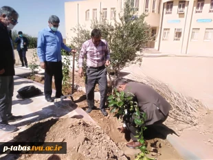 کاشت نهال  روز درختکاری توسط همکاران آموزشکده فنی و حرفه ای طبس در محل آموزشکده 12