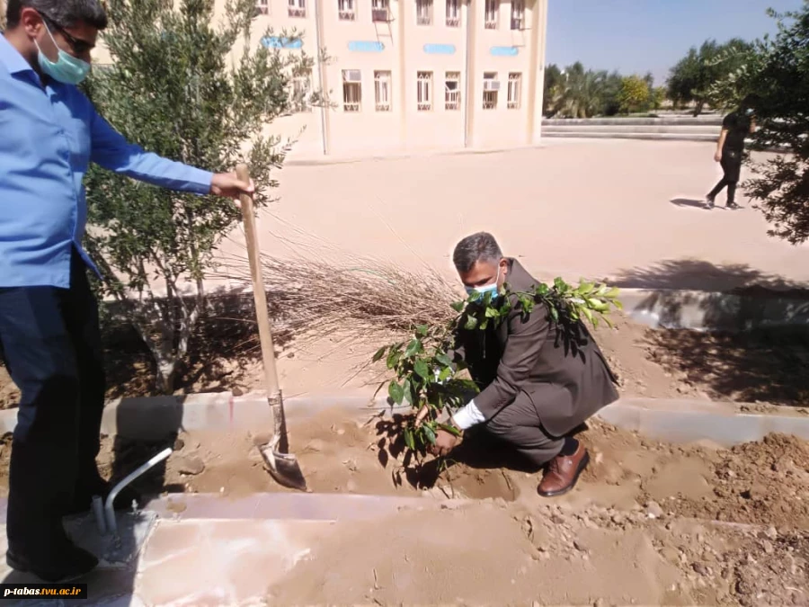 کاشت نهال  روز درختکاری توسط همکاران آموزشکده فنی و حرفه ای طبس در محل آموزشکده 13