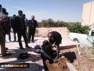 کاشت نهال  روز درختکاری توسط همکاران آموزشکده فنی و حرفه ای طبس در محل آموزشکده 14
