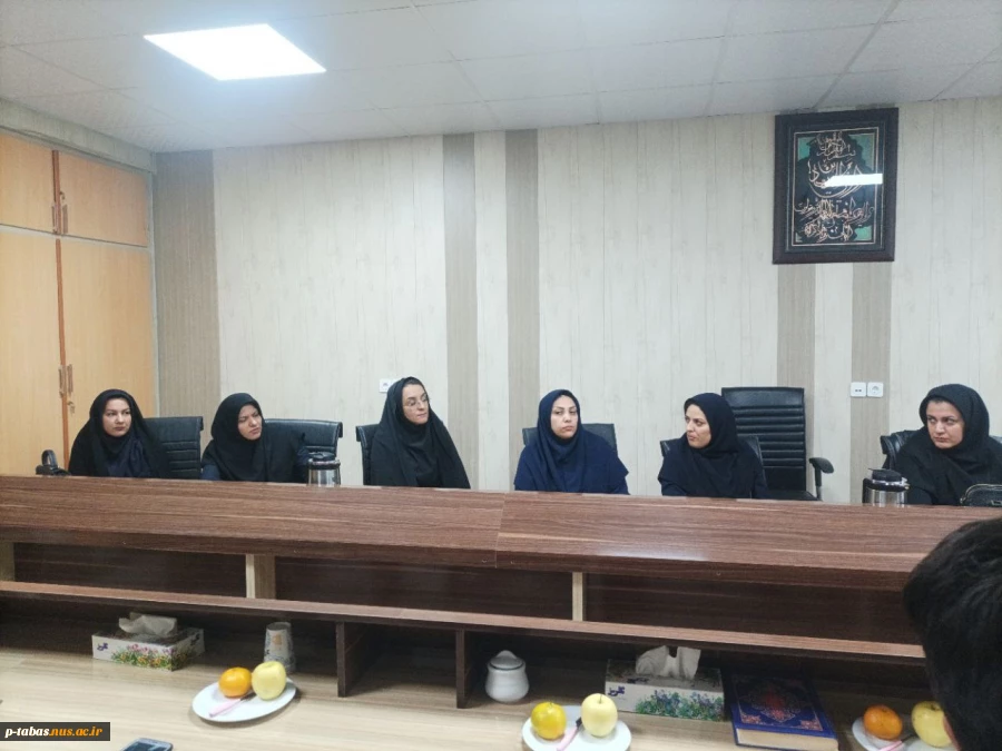 جلسه اساتید گروه کامپیوتر آموزشکده با معاونت و کارشناسان آموزش ، حراست و فناوری آموزشکده فنی طبس 3