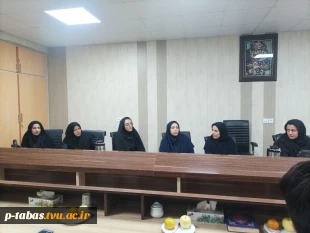 جلسه اساتید گروه کامپیوتر آموزشکده با معاونت و کارشناسان آموزش ، حراست و فناوری آموزشکده فنی طبس 4