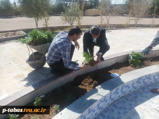کاشت گل شب بو و گل های بهاری در آموزشکده فنی و حرفه‌ای امام علی ع طبس
 2